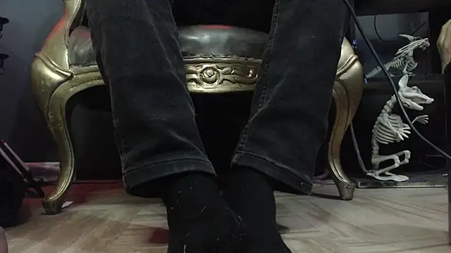 Preview of zain_kreigger