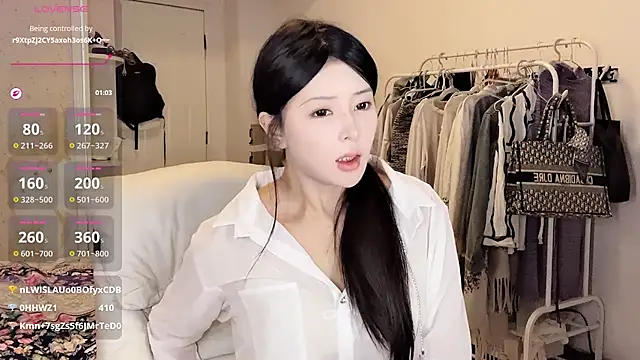 secret-anan webcam