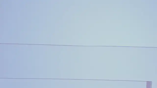 Preview of _maximo_1