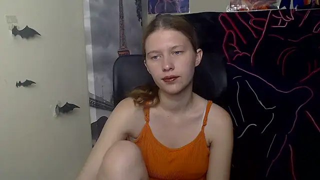 StellaCRL webcam