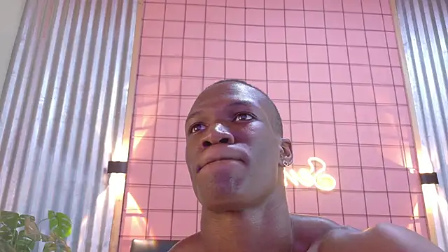 martin_killer webcam