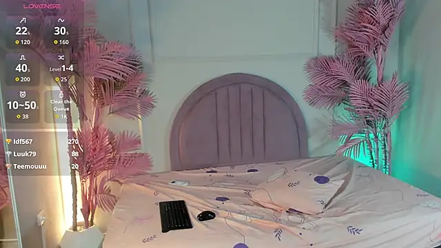 Nalapalmer webcam