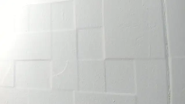 VioletRose_as