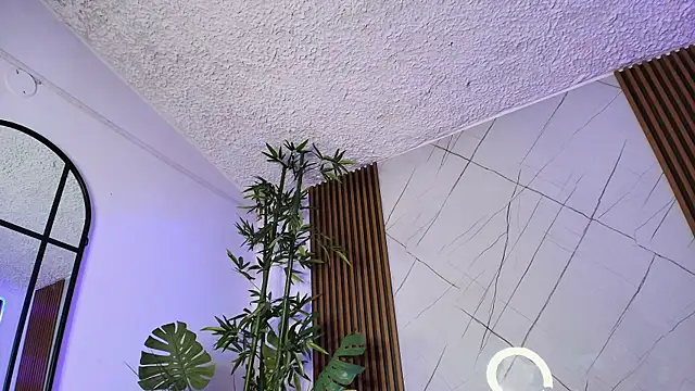 ShadowLune webcam