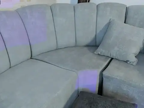 fallongrey webcam