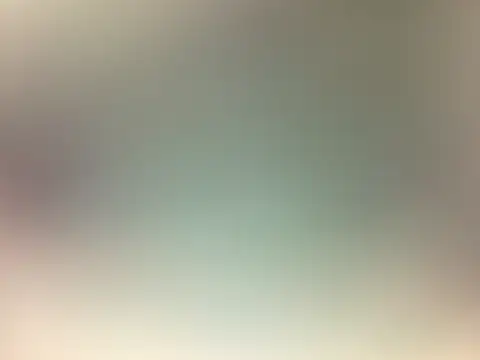 Preview of piggylatino