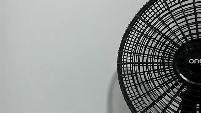 Preview of benjamin_lich