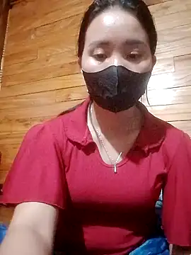 Td3di webcam