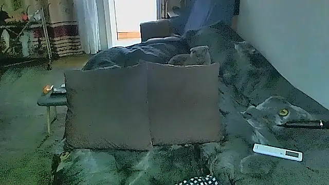 sex2 webcam