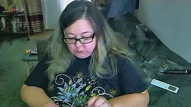 sex2 webcam