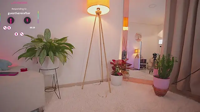 roxie_gates_ webcam