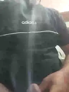 skrigul12 webcam