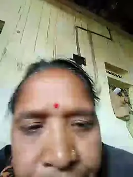 Loomaraj webcam