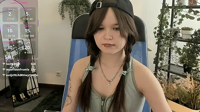 Elainebeness webcam