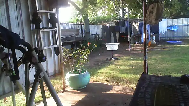 herbie010666 webcam