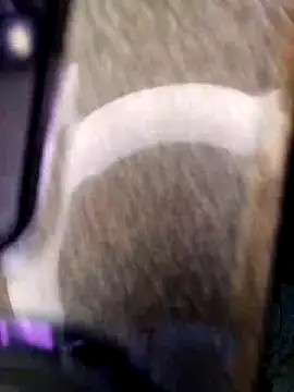 SaharQamar webcam