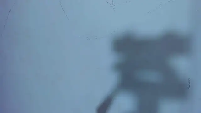steffy_gonzales webcam