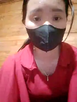 Td3di webcam