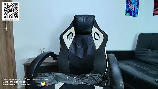 liorvante webcam