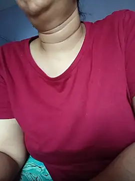 Hansikatelugu webcam