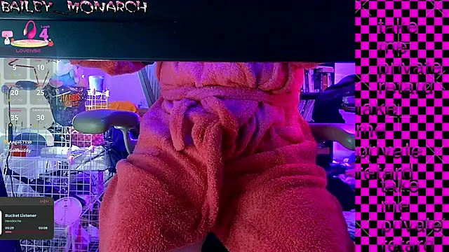Preview of baileymonarch
