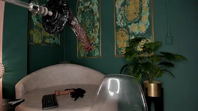 SofiaRousel webcam