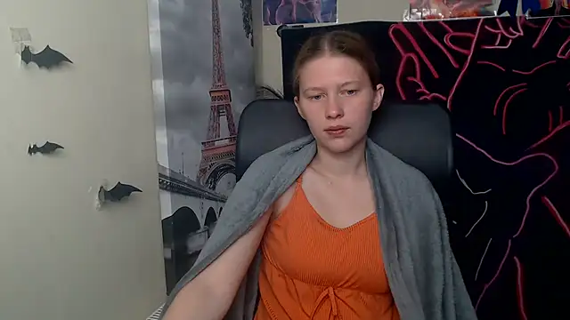 StellaCRL webcam