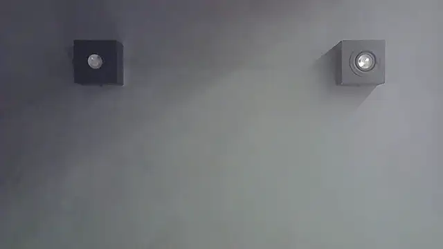 SkinnyKitten webcam