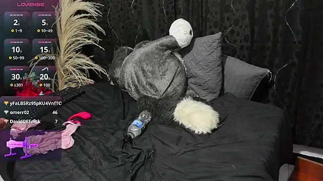 Siena_fox webcam