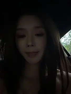BBi-0329 webcam