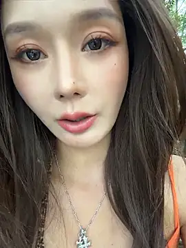 BBi-0329 webcam