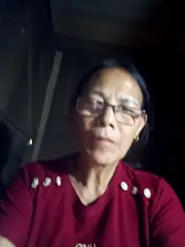 toyo_668 webcam