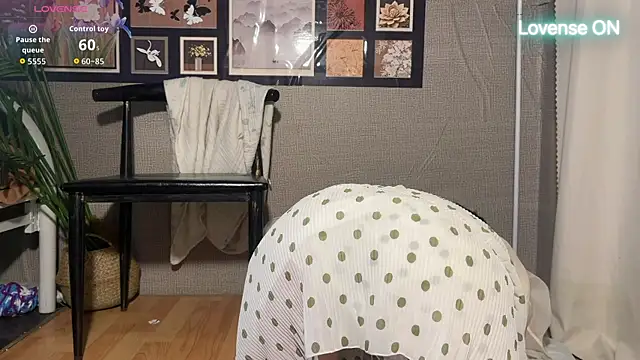 xiaosu22 webcam