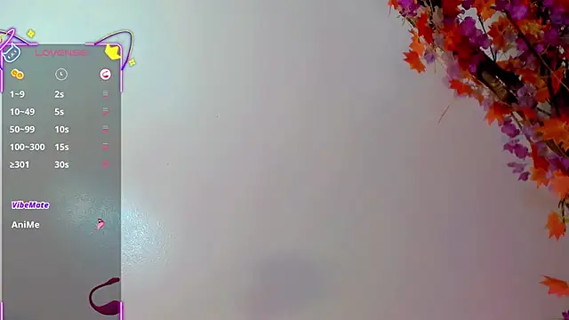 britanny_noroeste webcam