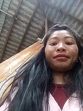 Hiniyk2 webcam