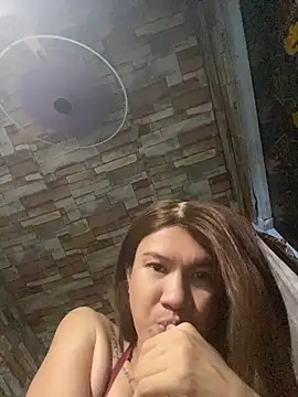 manilafoxts webcam