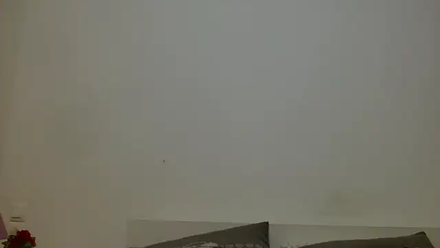 desirmiss1 webcam