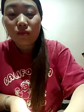 he-se-kin webcam