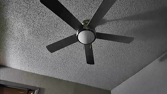 Triggerhappycj100 webcam