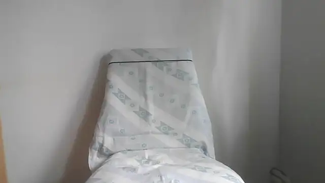 fl3xxx1 webcam