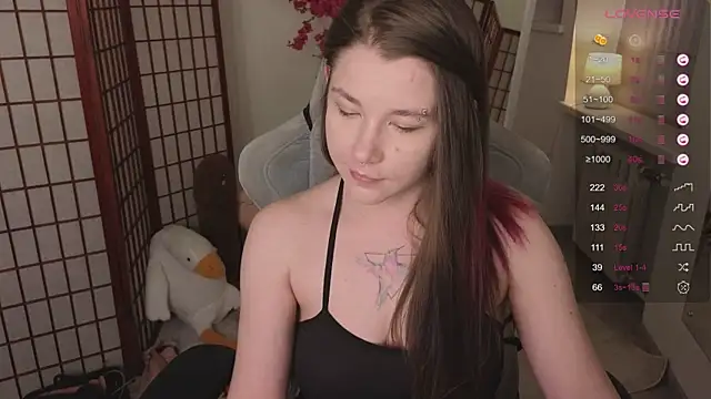 Mira_Falls webcam