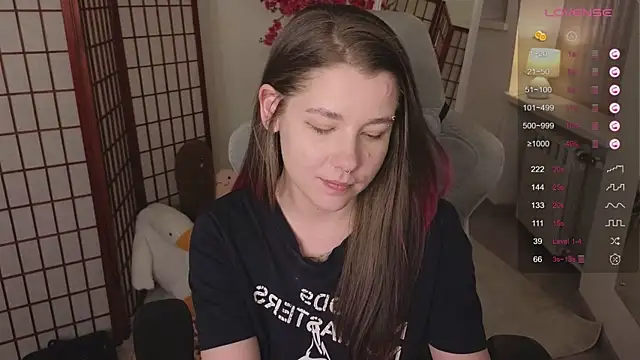 Mira_Falls webcam