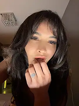 DarkDesin webcam