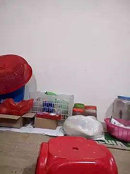 -Tara-a webcam