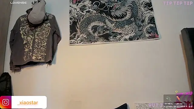 XiaoStar webcam