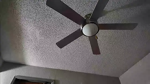 Triggerhappycj100 webcam