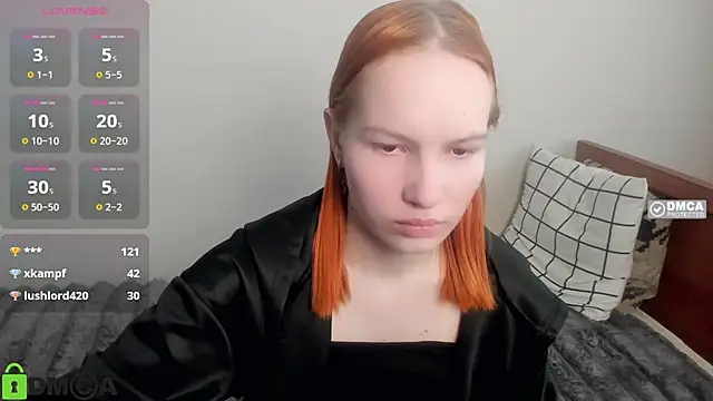 Vedime webcam