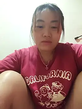 he-se-kin webcam
