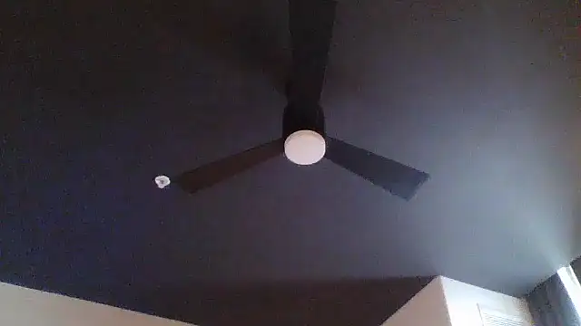CHANCECOTTON23 webcam