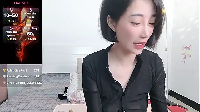 YIWA-2000 webcam